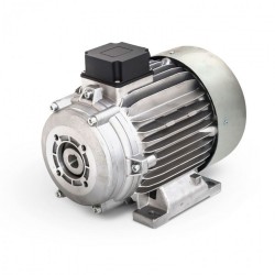 Электродвигатель MAZZONI 5.5 кВт (с муфтой) с термозащитой
